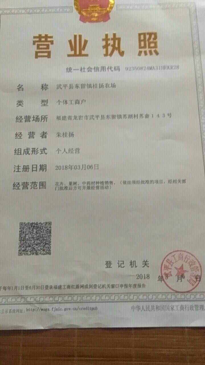桂扬九月黄金水果园