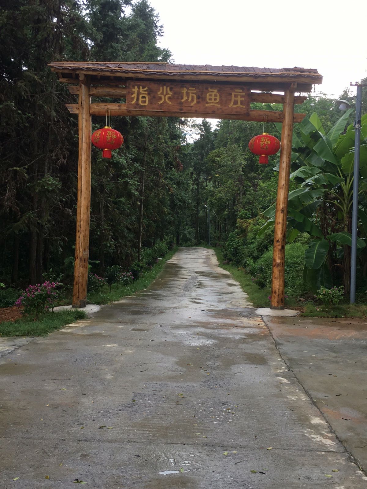 尖坊鱼庄