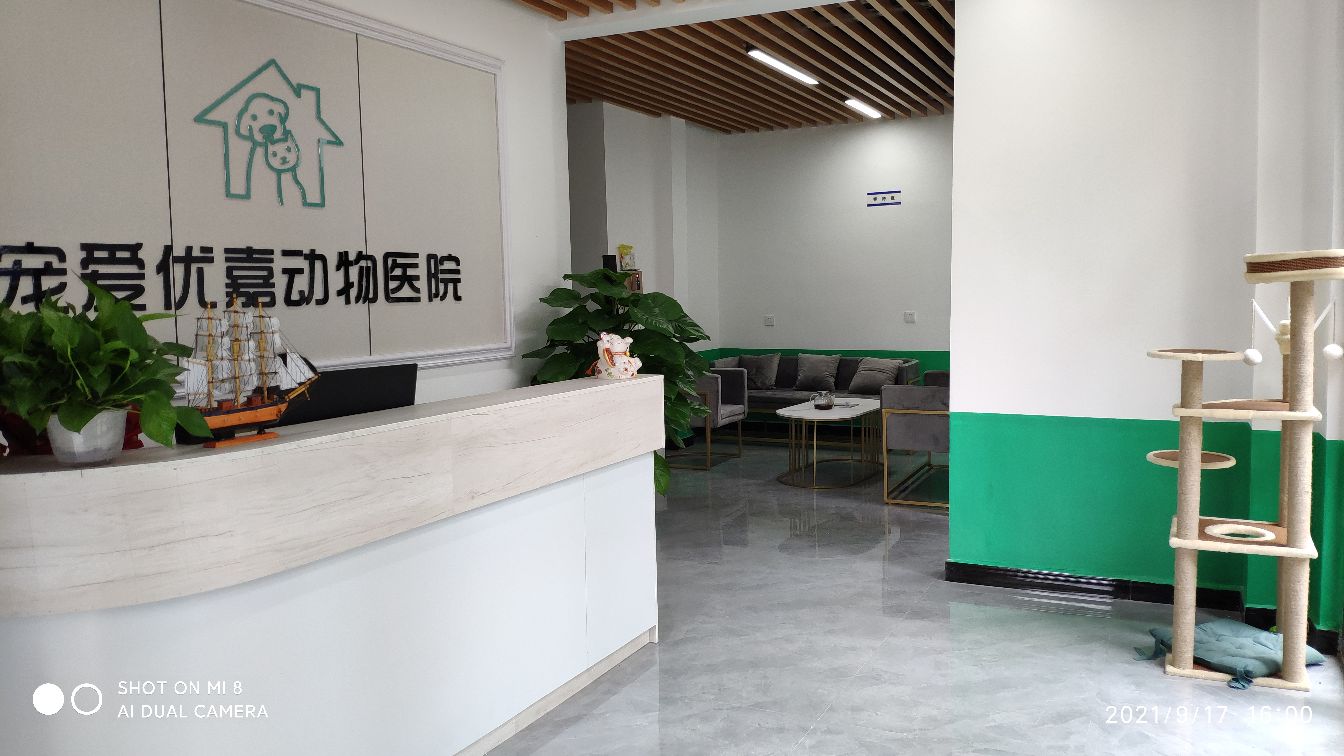 宠爱优嘉动物医院