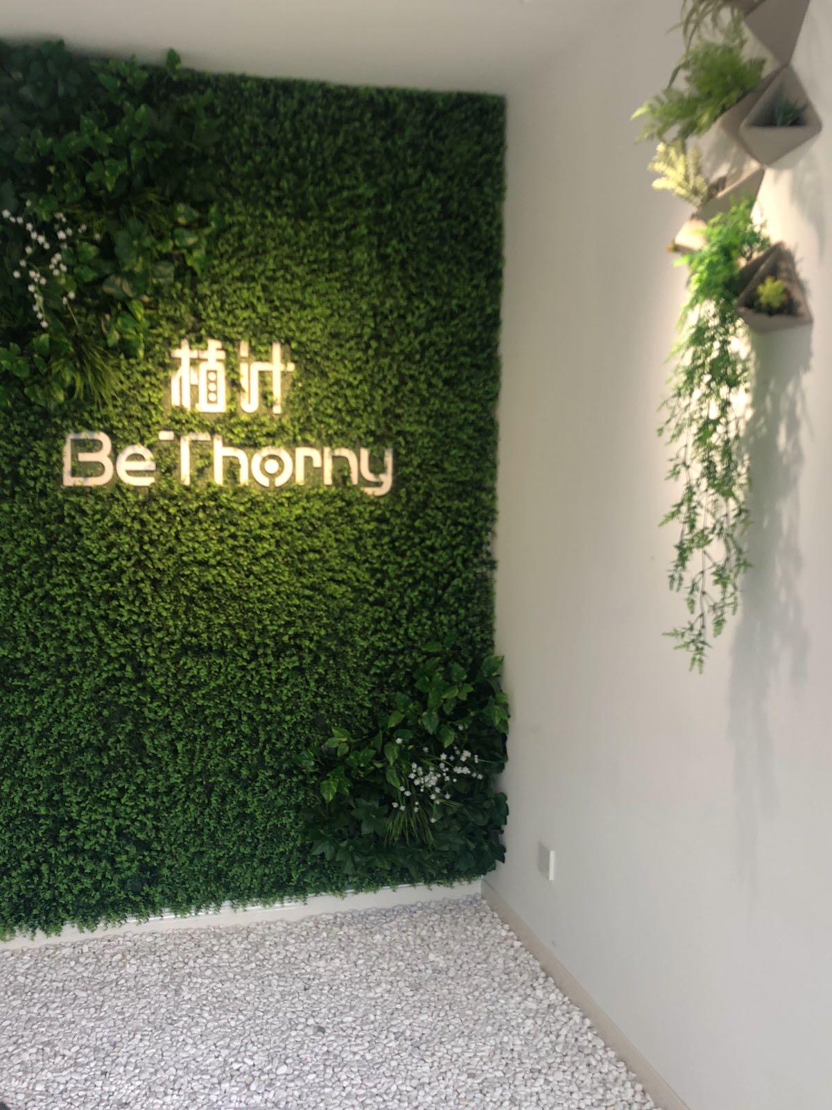 BeThorny植汁