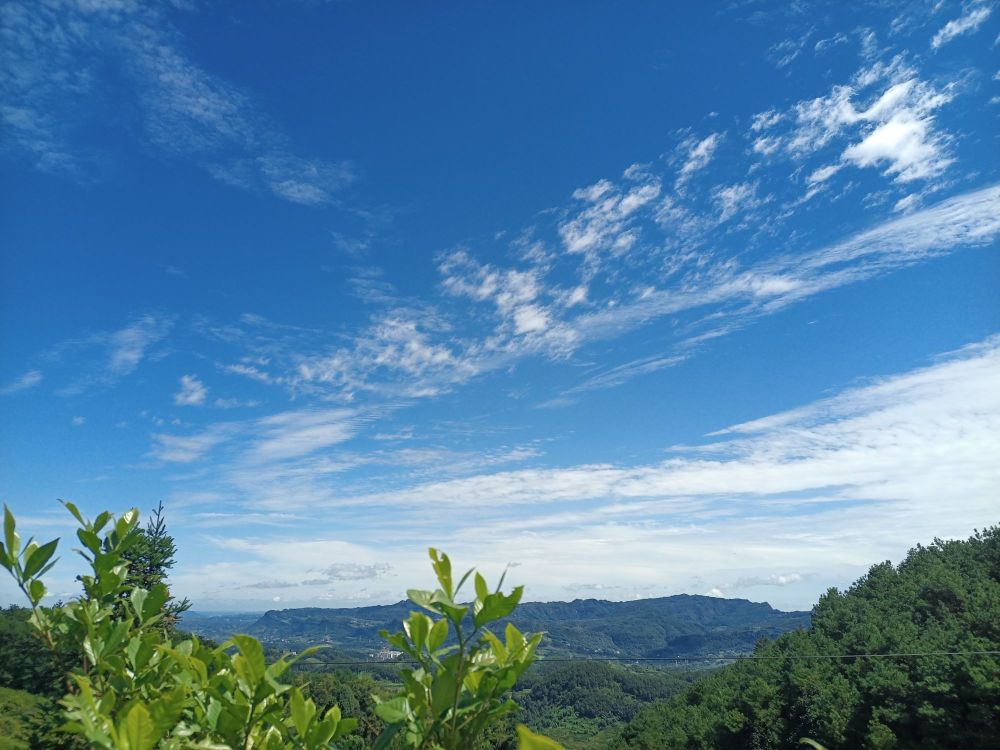 宜宾市叙州区草燕街