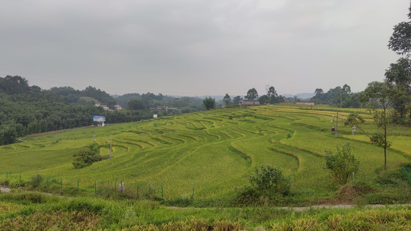 宜宾市叙州区零二三乡道