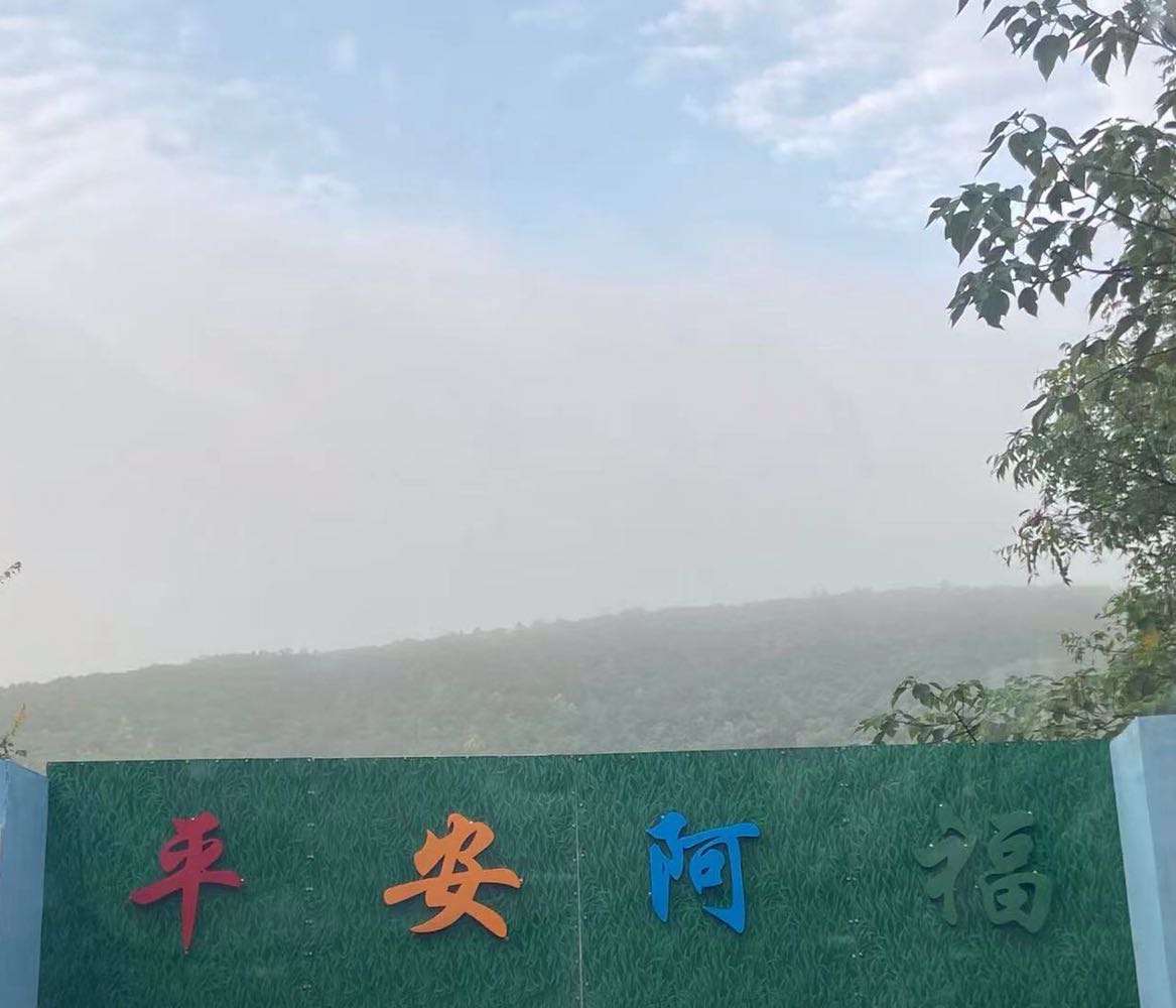 凤凰谷平安阿福动物救助中心