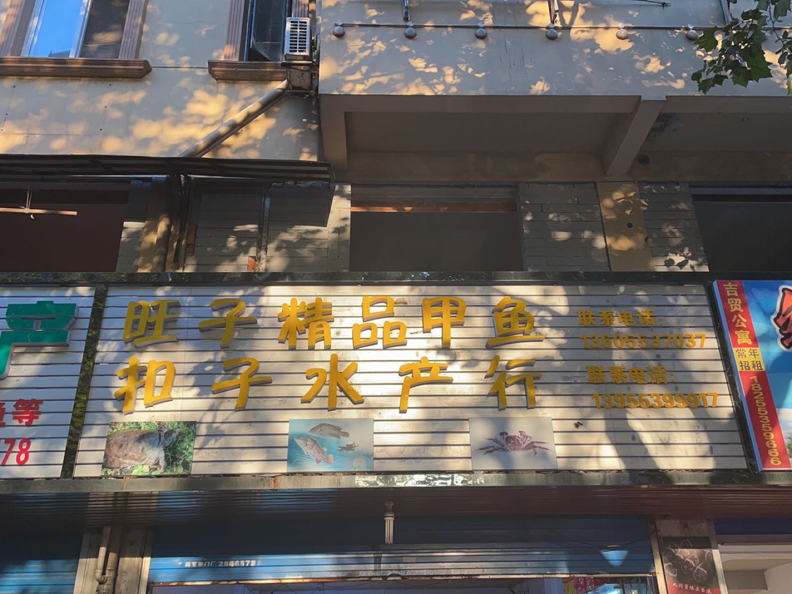 扣子水产行