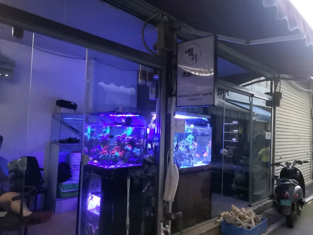 唯升水族工作室