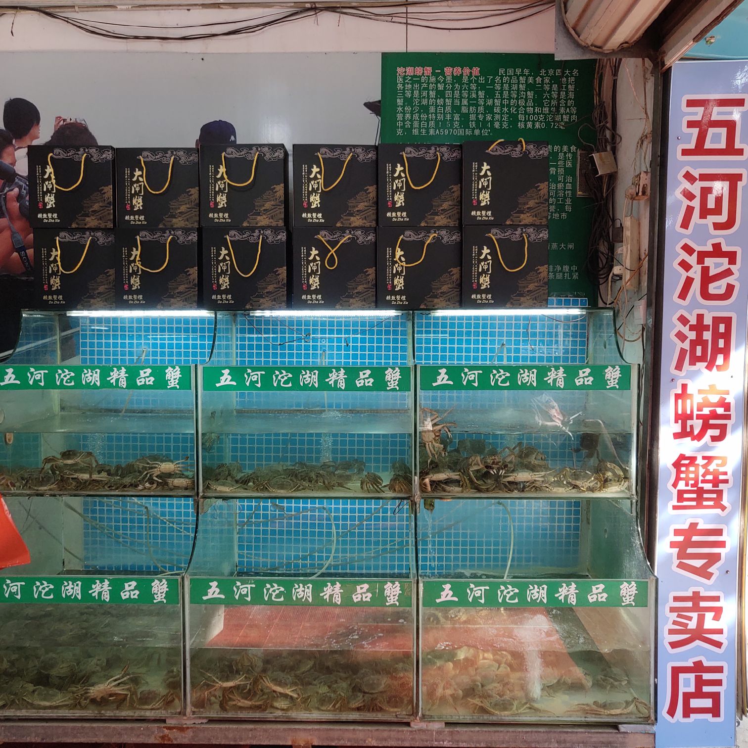 永胜五河沱湖螃蟹专卖店