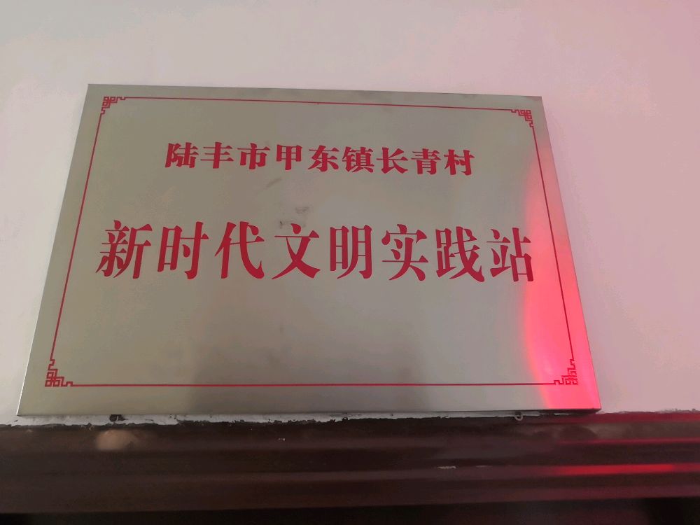 广东省陆丰市甲东镇长青村新时代文明实践站