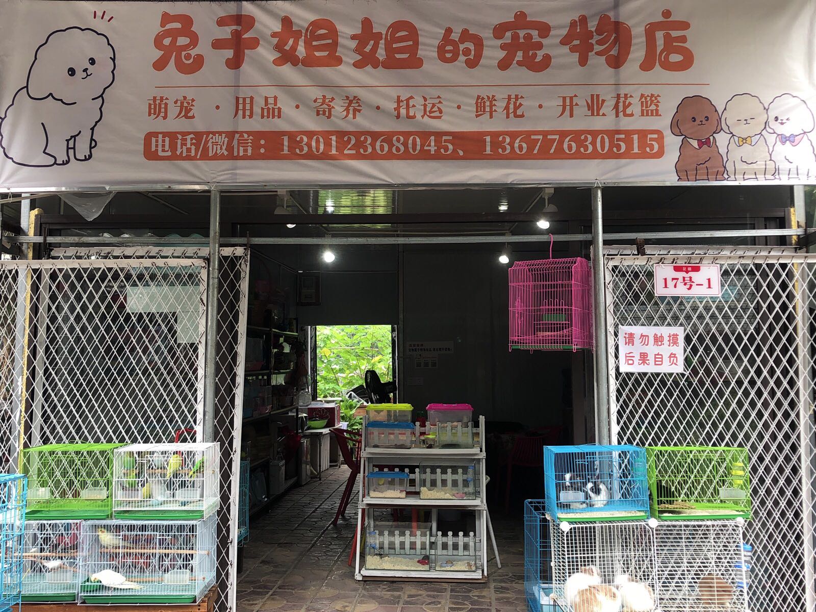 兔子姐姐的宠物店