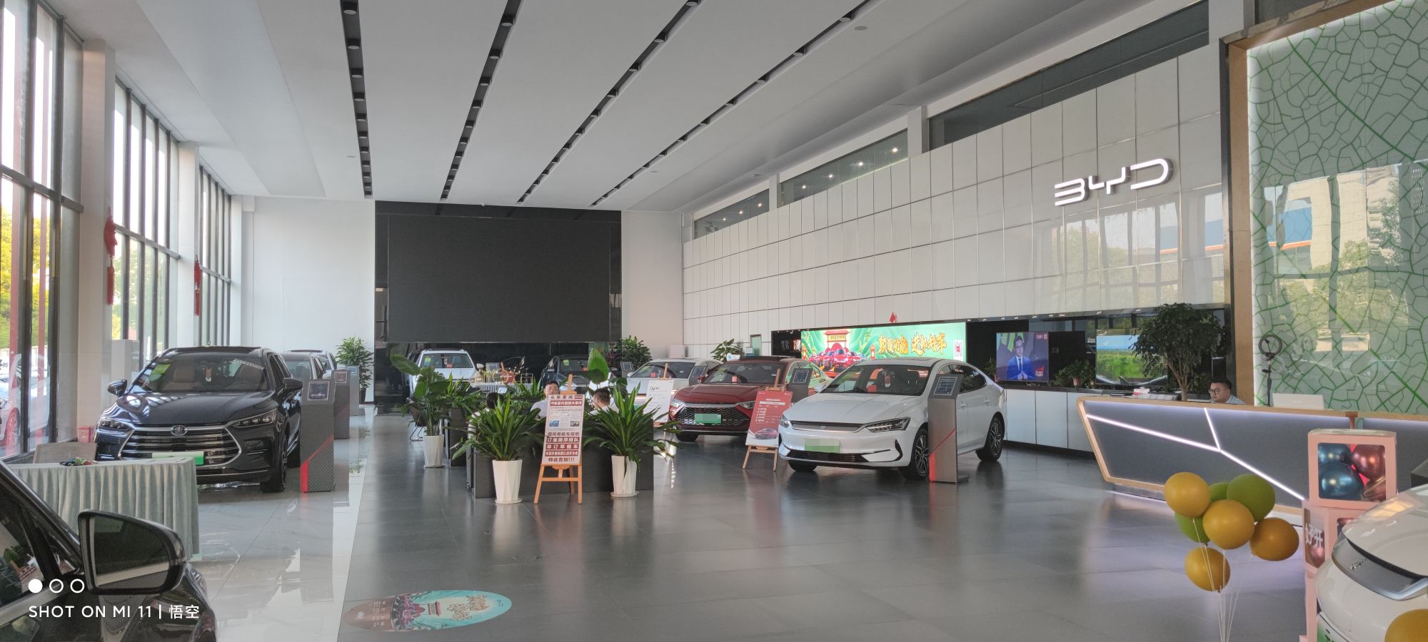 比亚迪汽车王朝网(阜阳迪之鑫4S店)