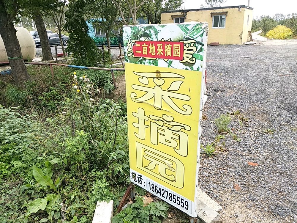 盘锦大洼区赵圈河镇二亩地采摘园