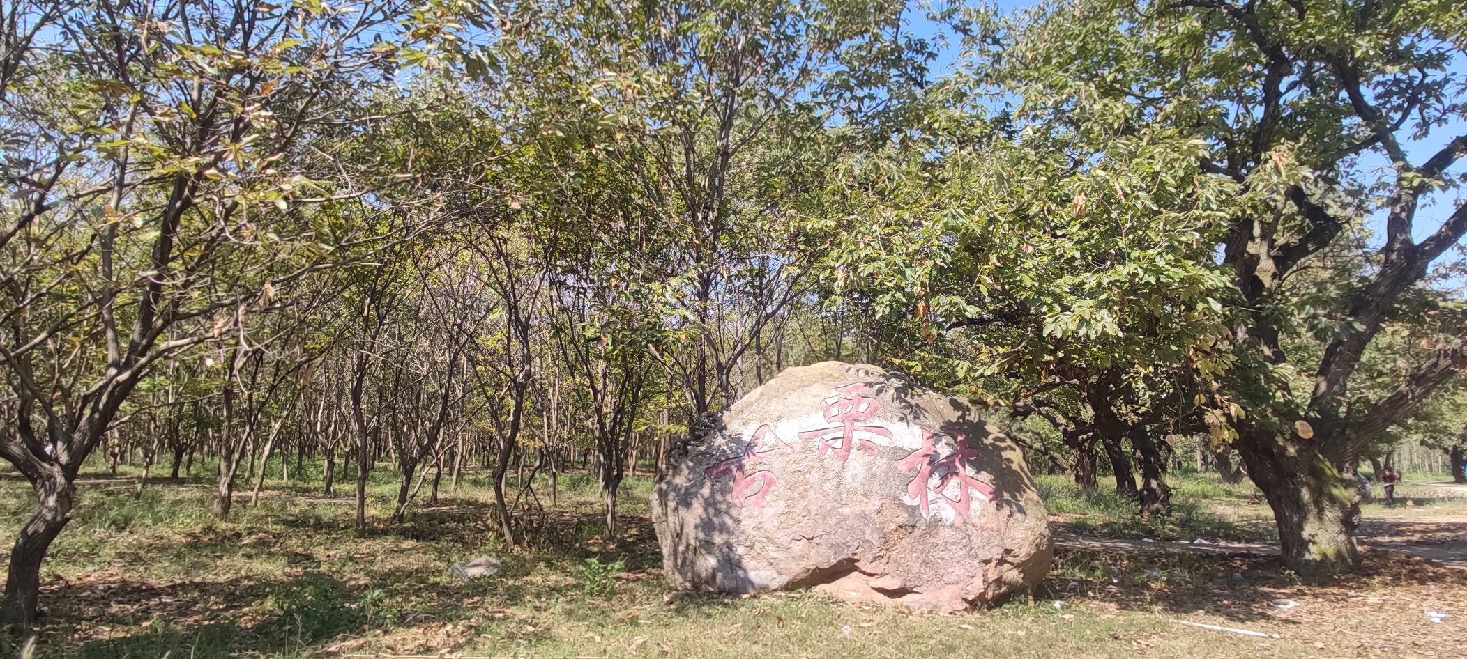 河南角山古栗林