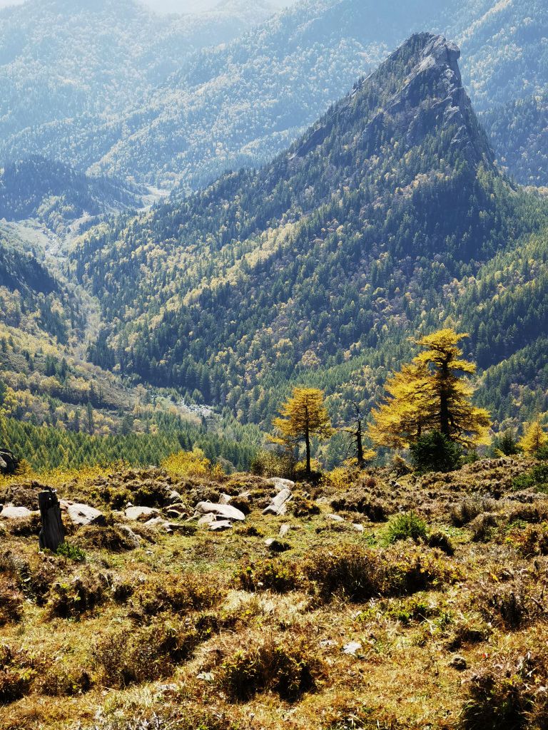 芦芽山风景区-游客服务中心