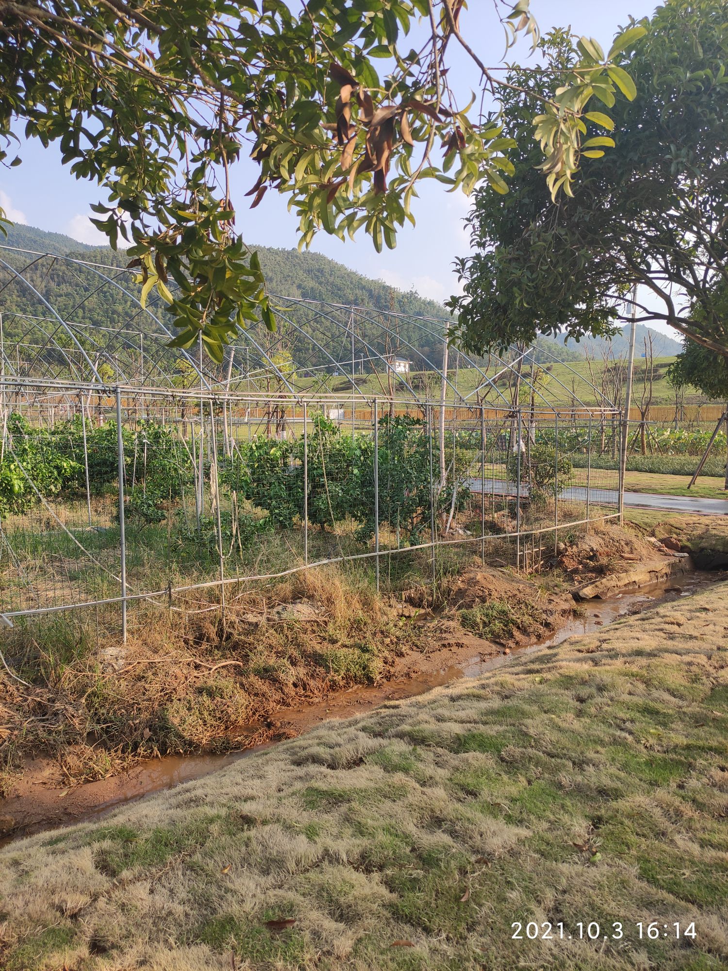 江西省斐然农旅有限工司