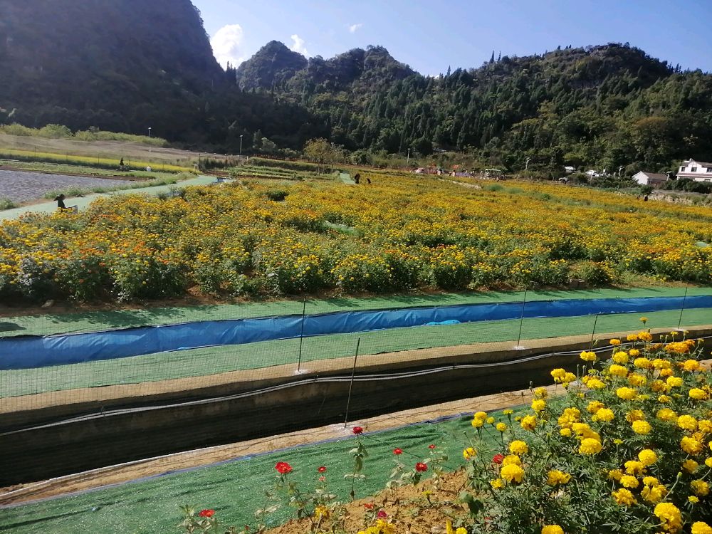 万峰林景区-将军花园