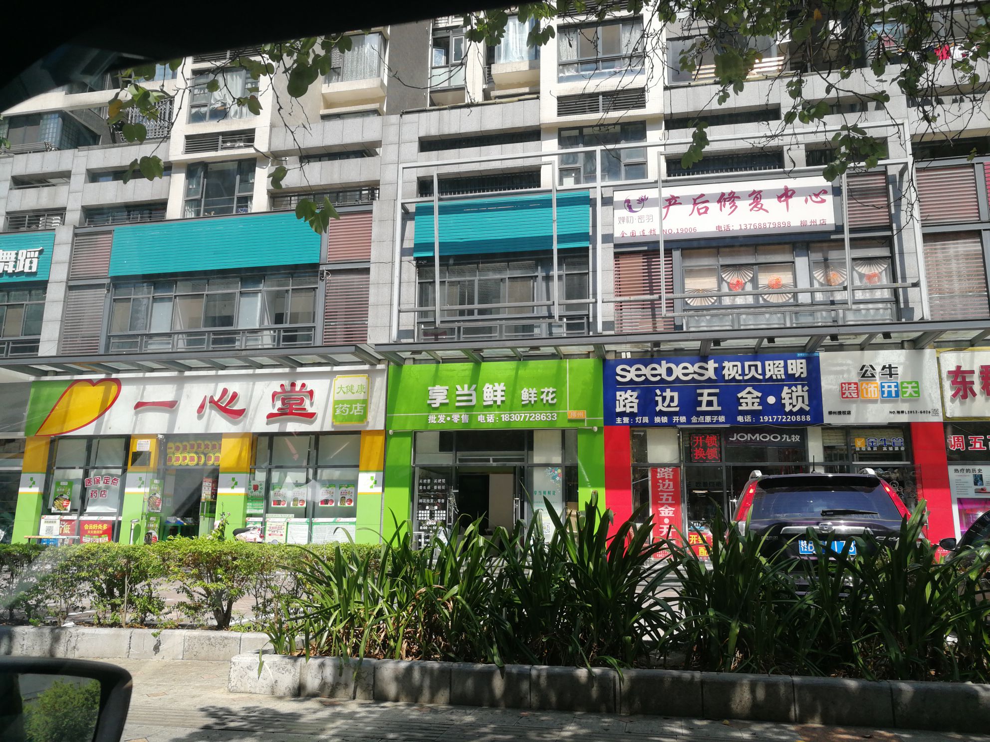 享当鲜鲜花