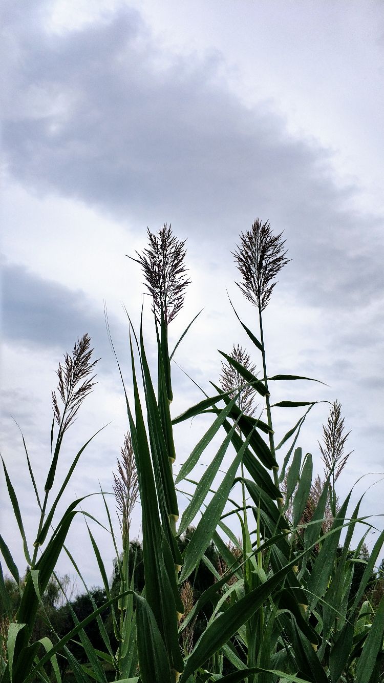 山东省北方植物园