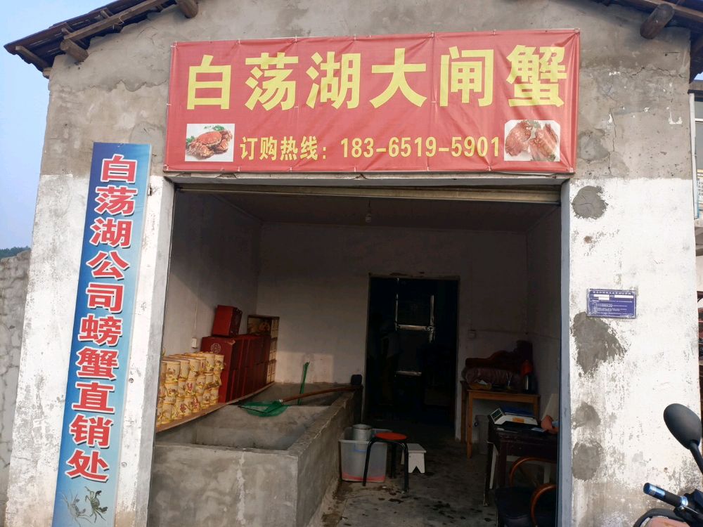 白荡湖螃蟹直销处