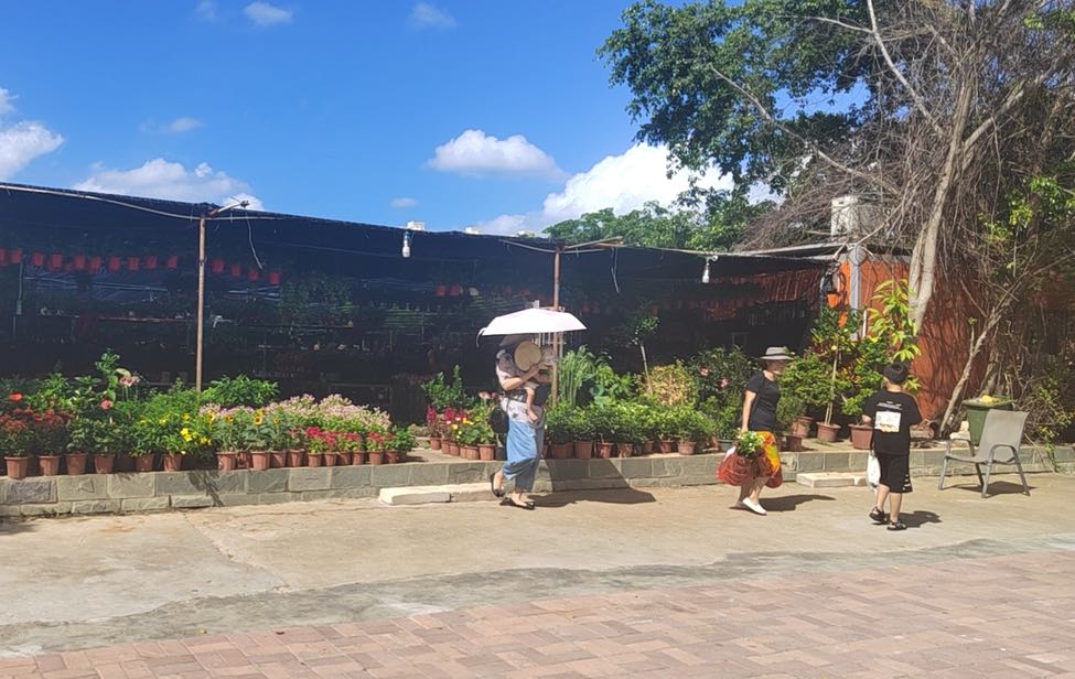 三亚花梦谷花店