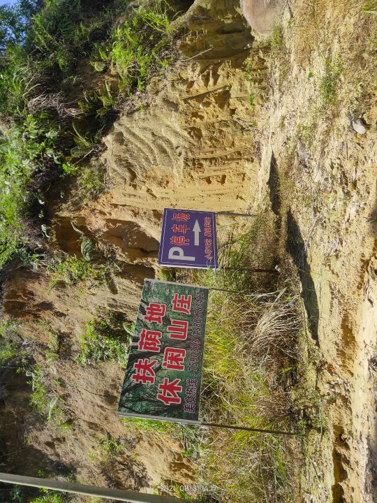 播扬镇扶阴地原生态森林风景区