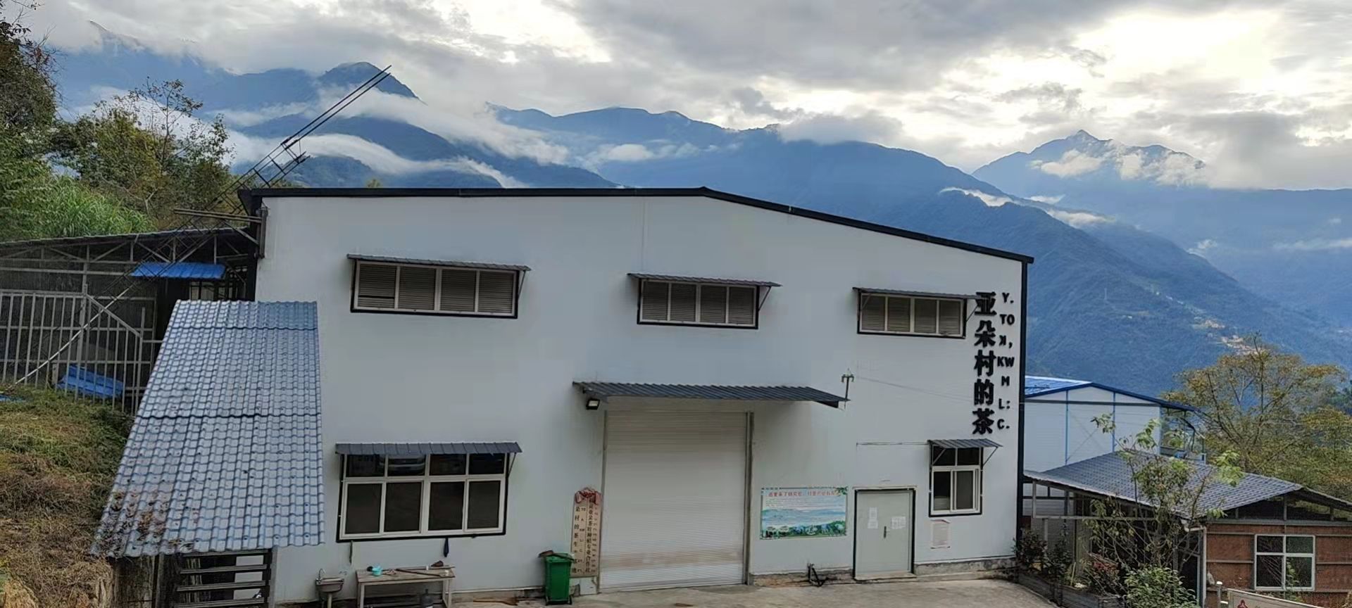 福贡亚朵茶叶种植农民专业合社
