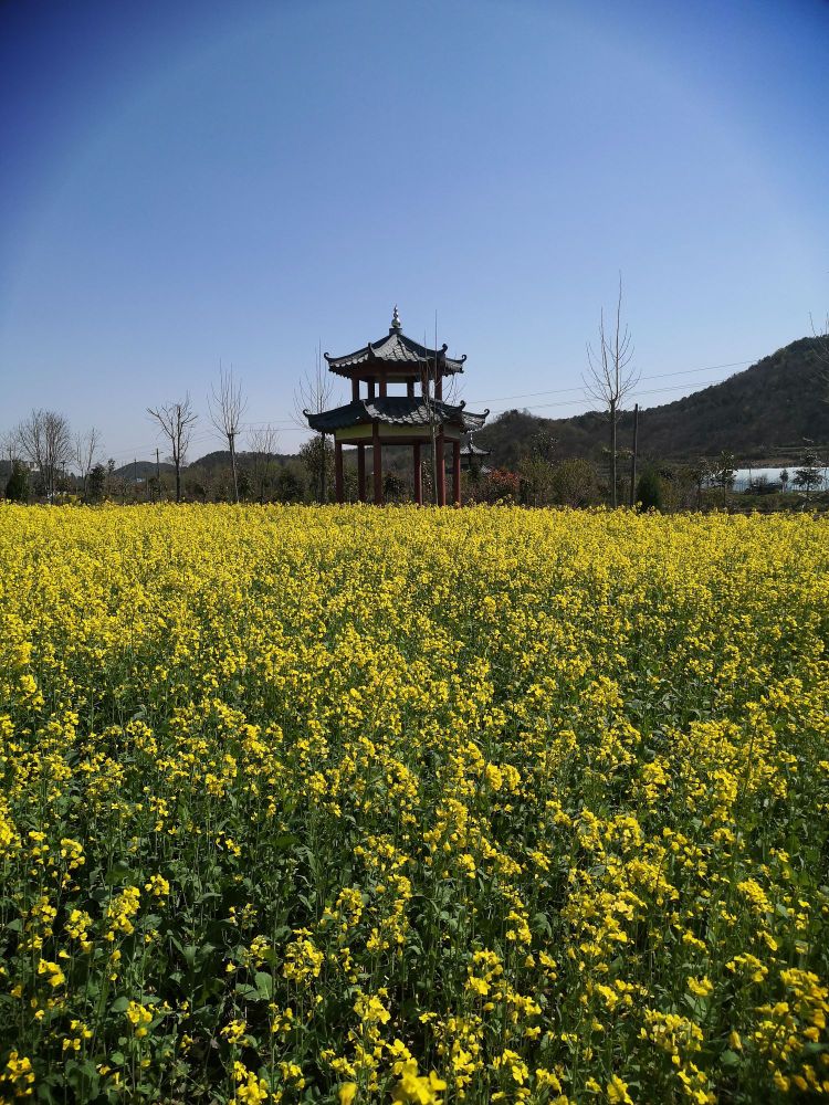 灵山镇董桥村(董寨)