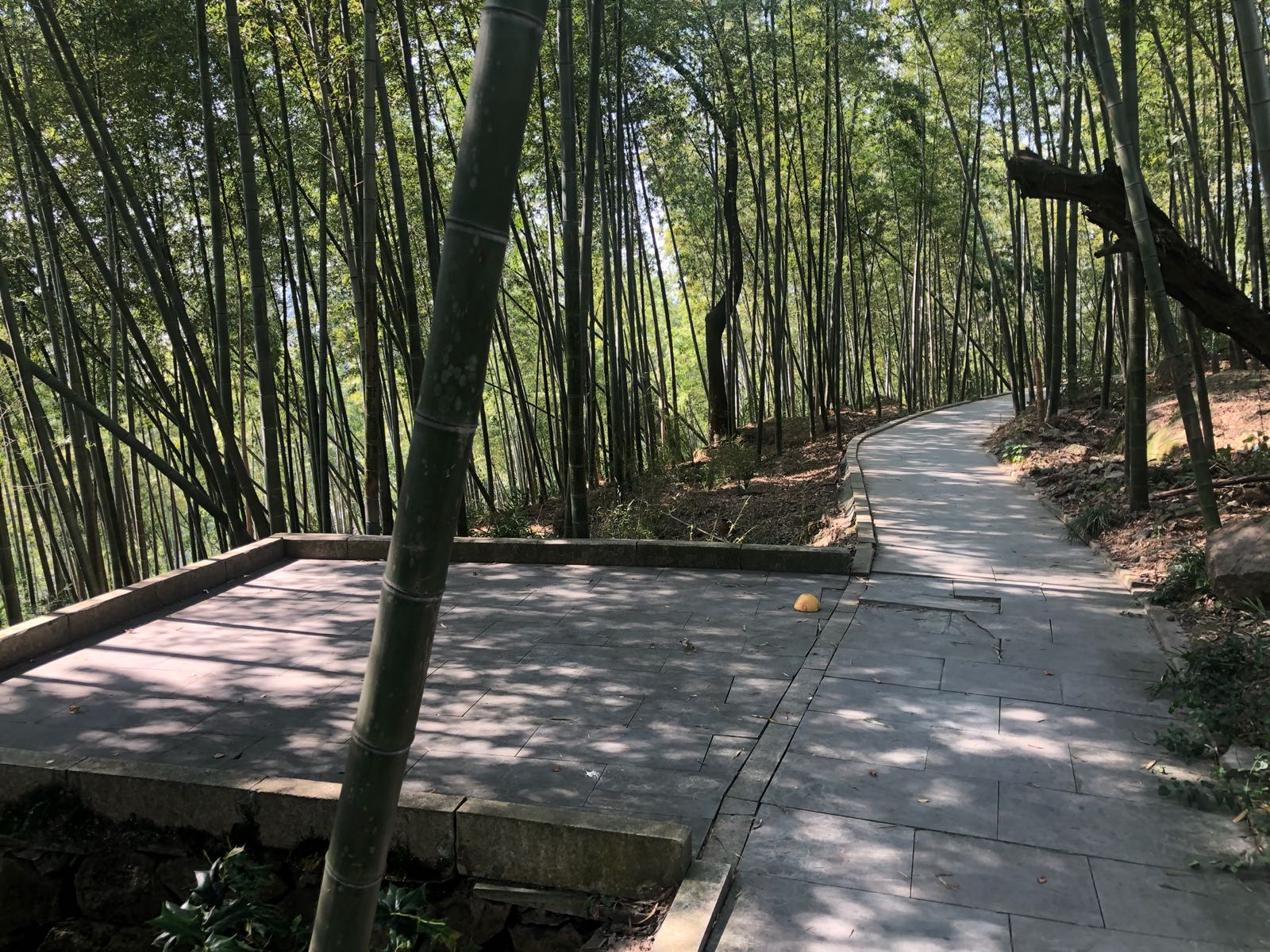 吴山公园