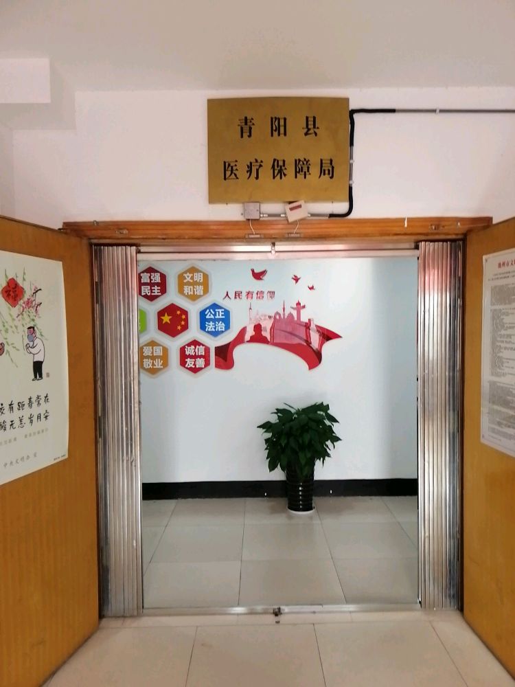 青阳县医疗保障局