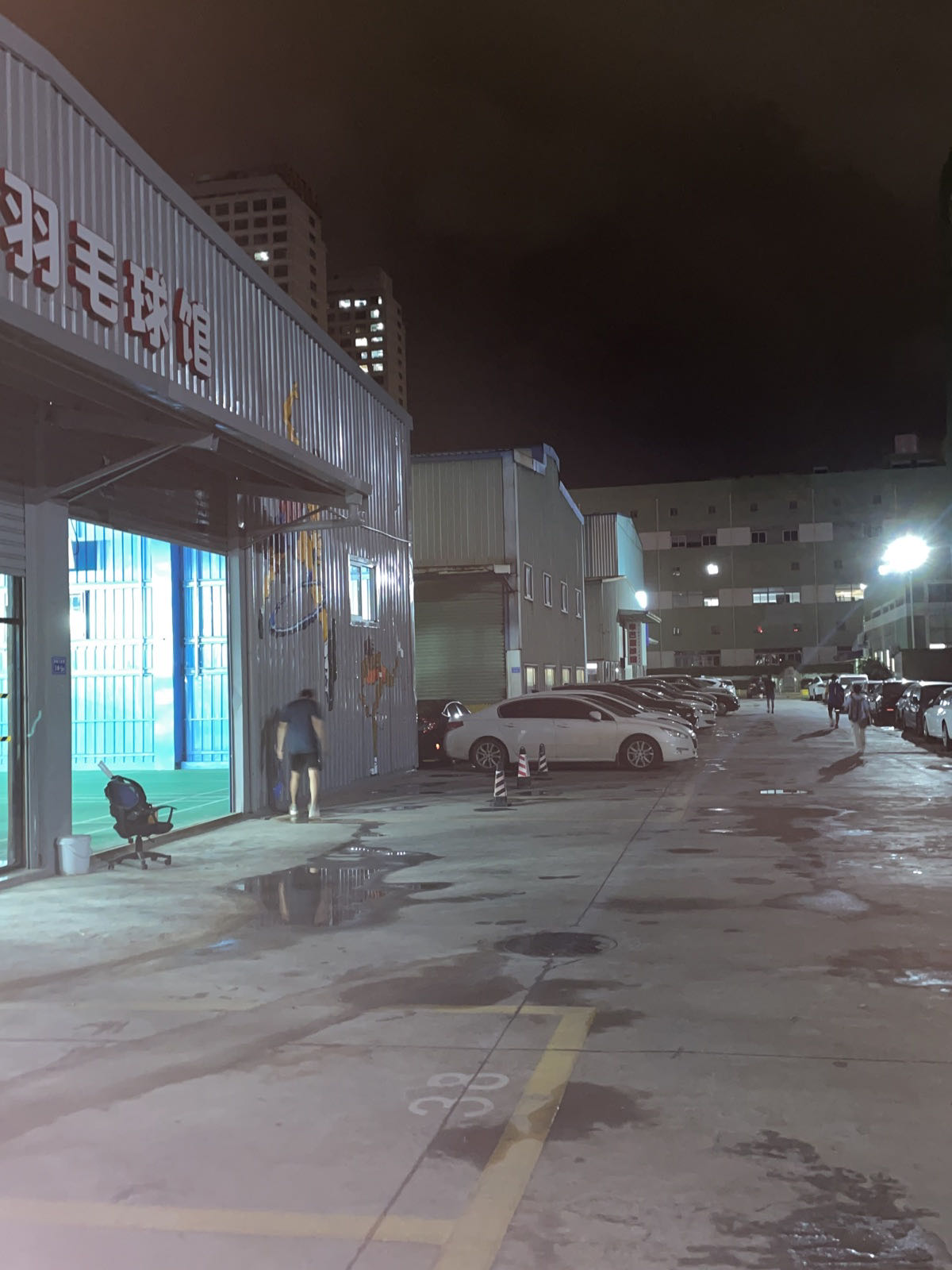 建辉羽毛篮球