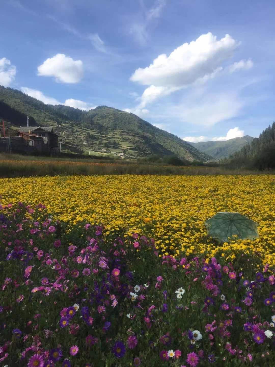 湿地花香生态园