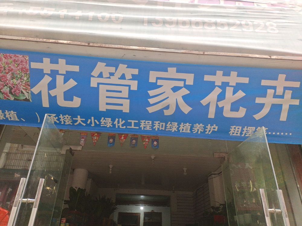 花管家花卉