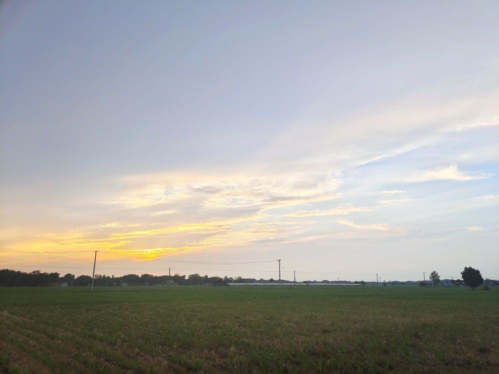 菏泽市曹县