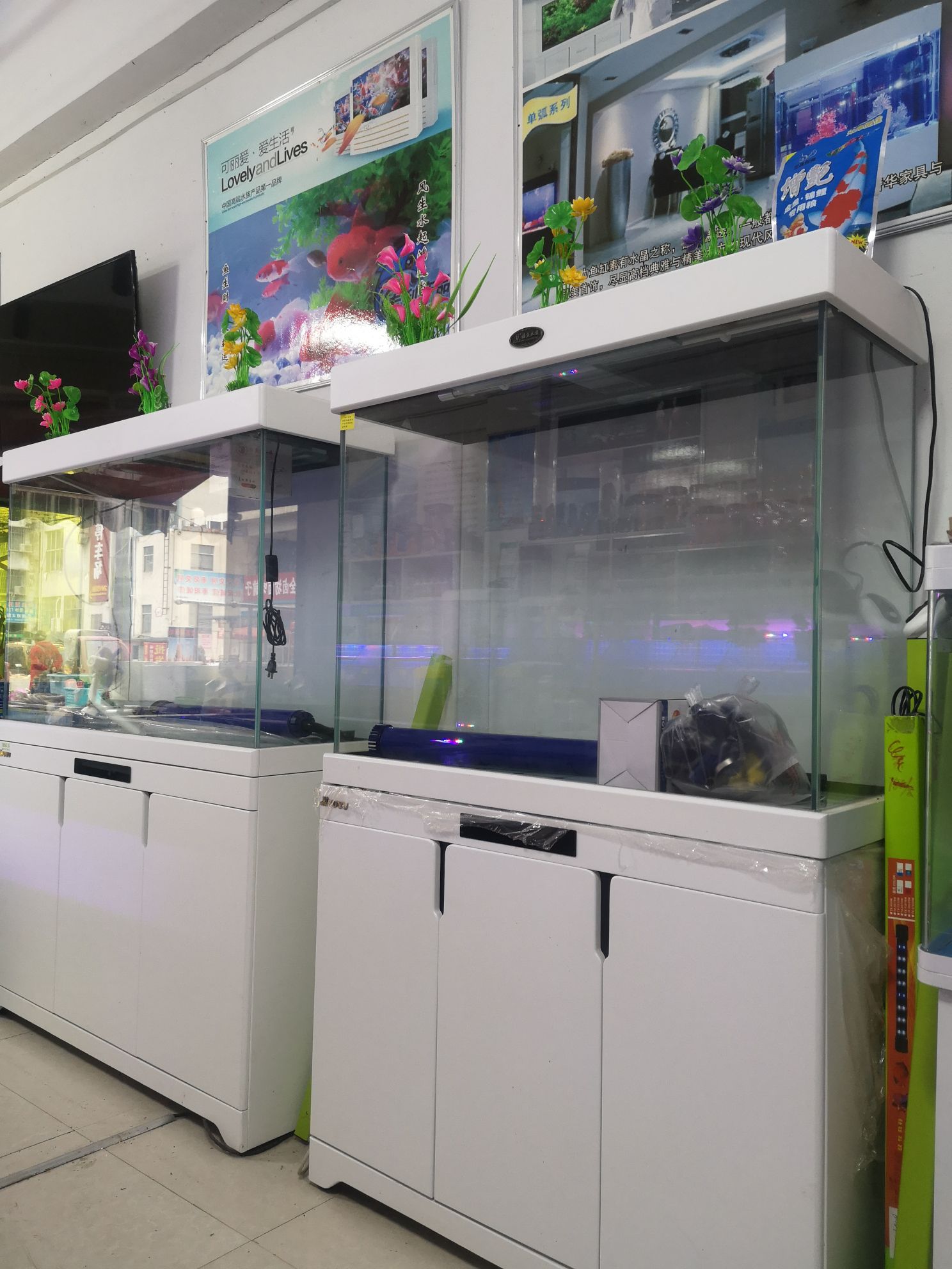 可丽爱水族(朝阳东路店)