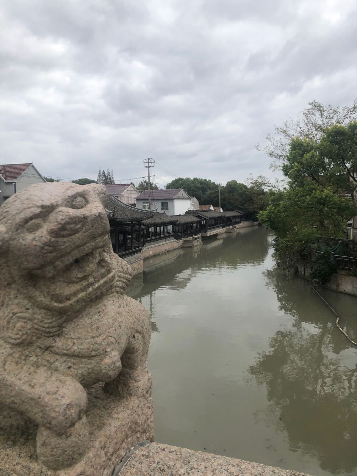 牛牛多肉植物园