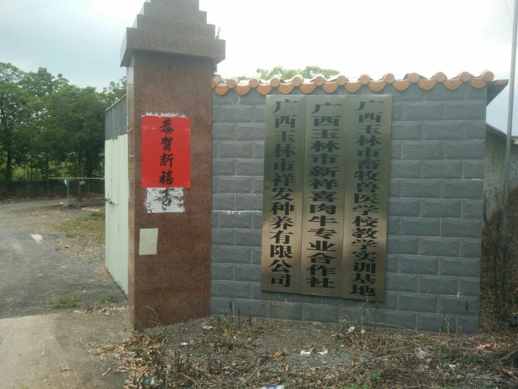 广西壮族自治区玉林市福绵区福绵镇宝岭村大沙浪