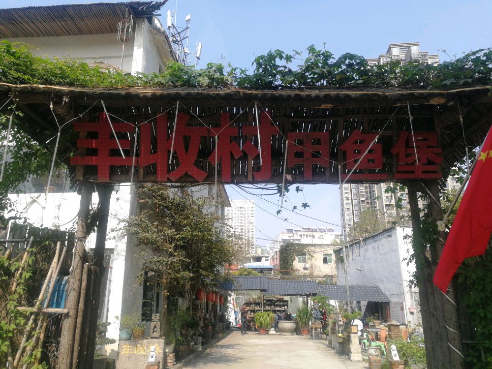 丰收村甲鱼宝