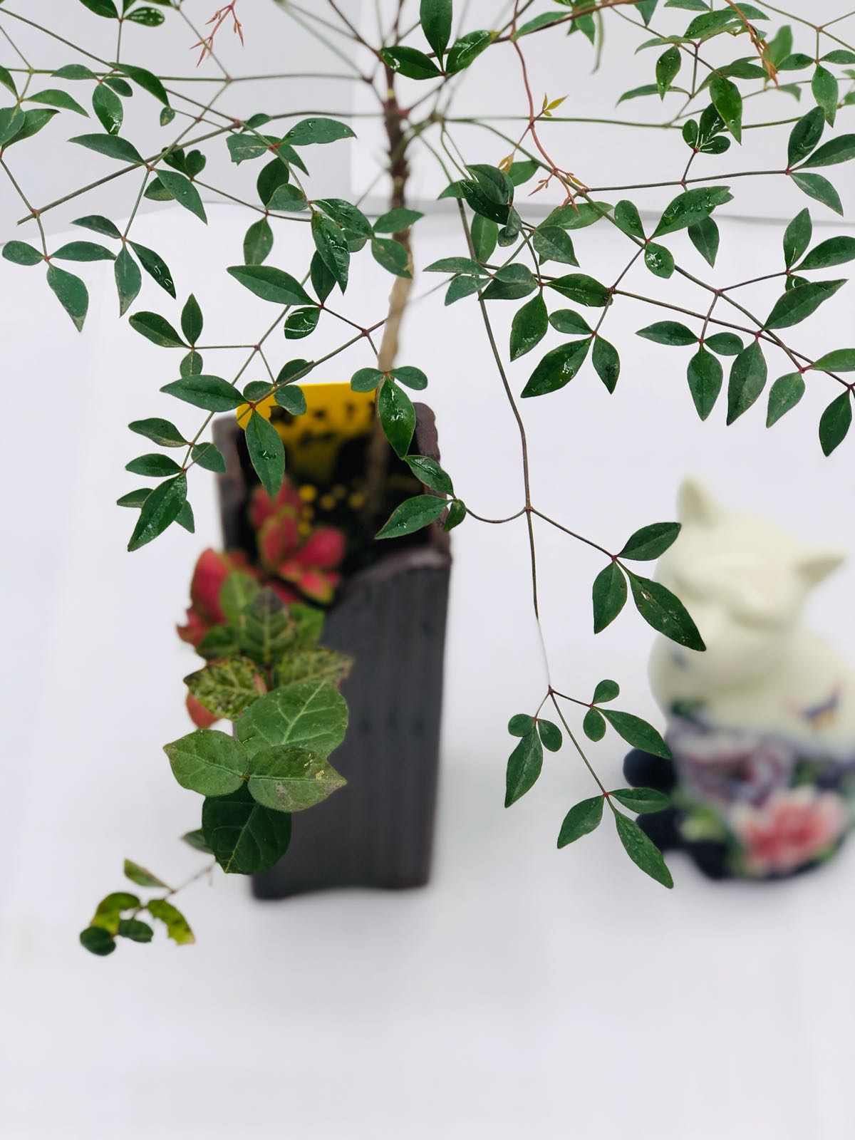 集花间集花艺(建设中路店)