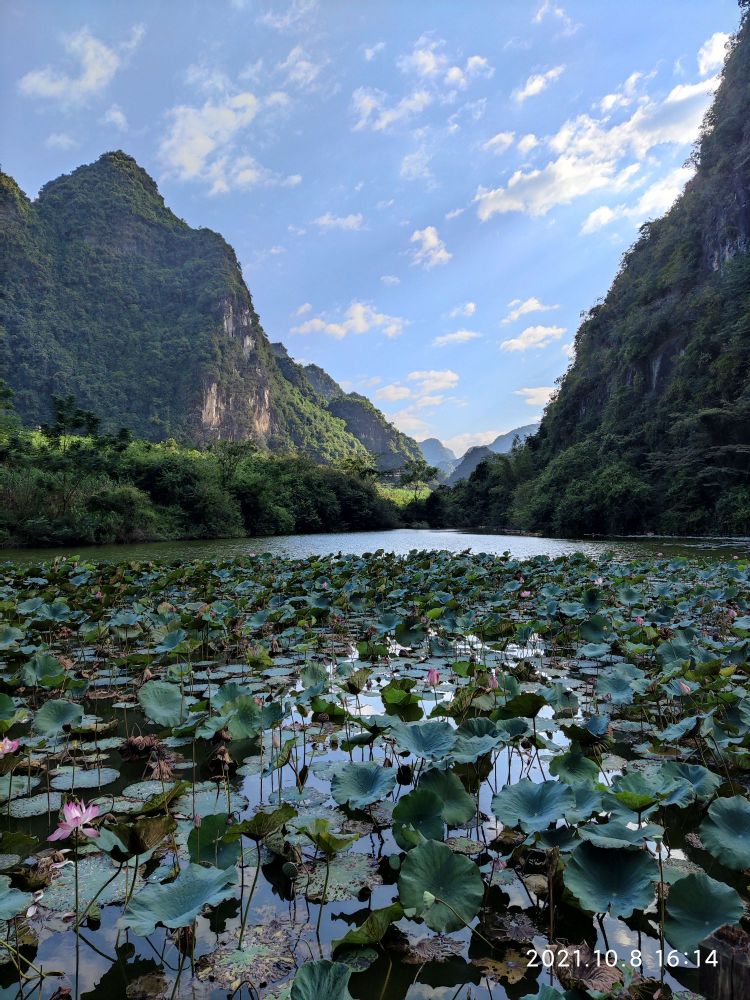 逐卜樱花谷农家乐