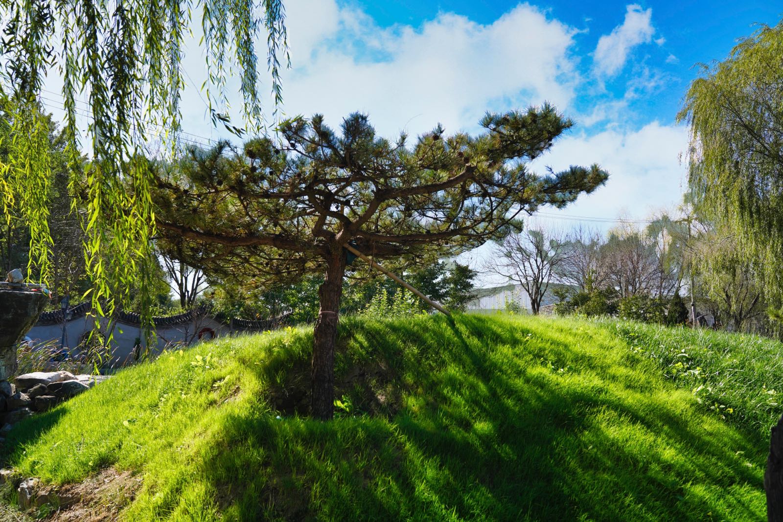 北京市大兴区礼贤镇西郏河村