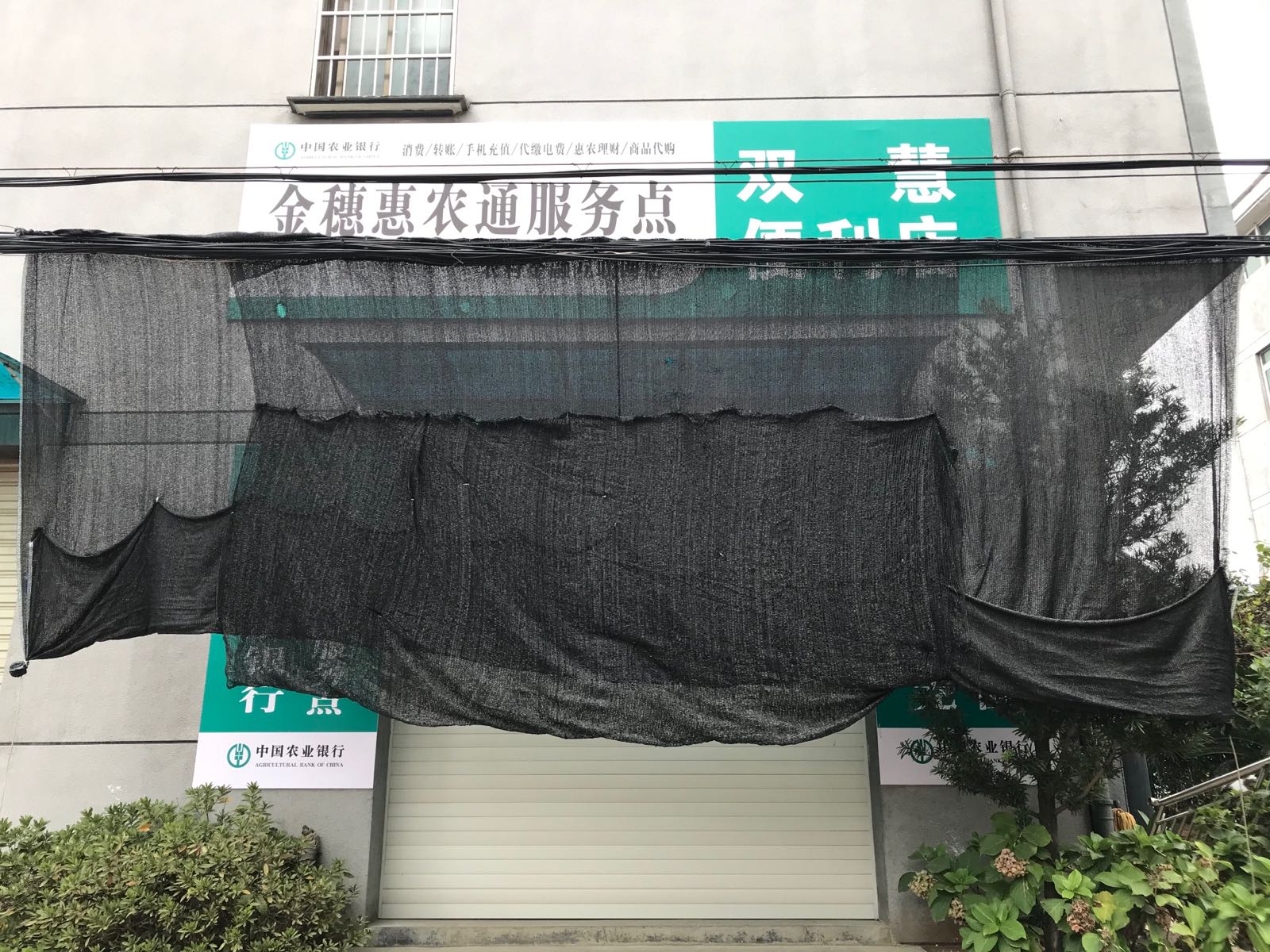 浙江省金华市婺城区白汤下线(罗埠镇莲湖小学对面)