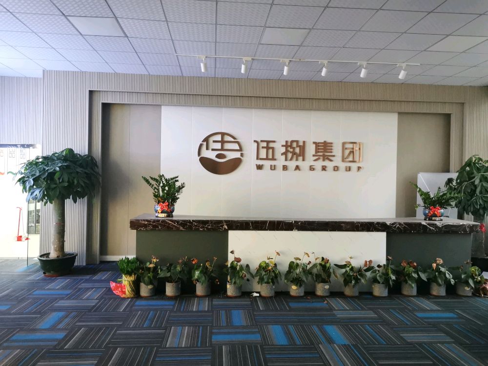 伍捌集团