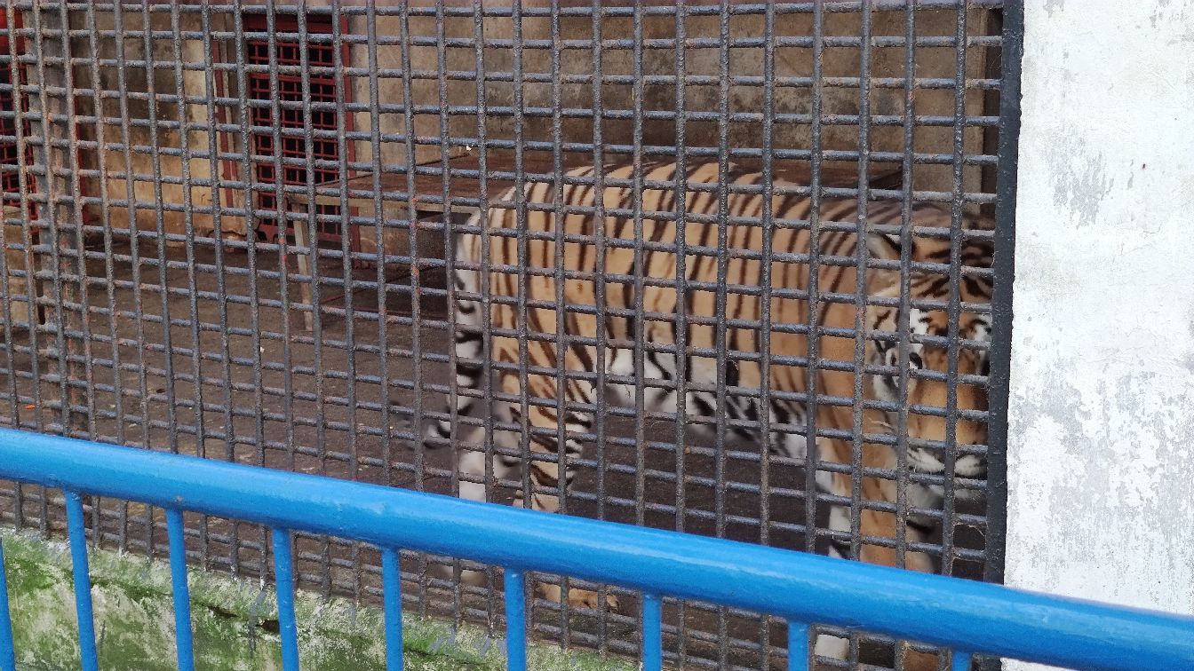 金鹗山野生动物园