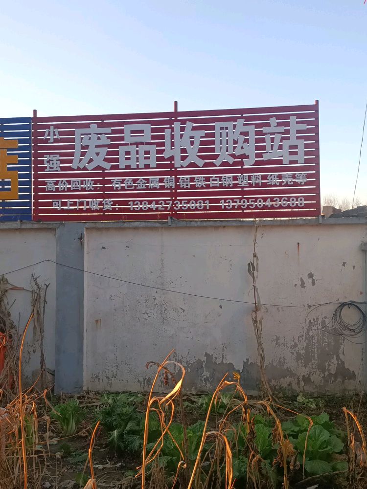 小强废品收购站