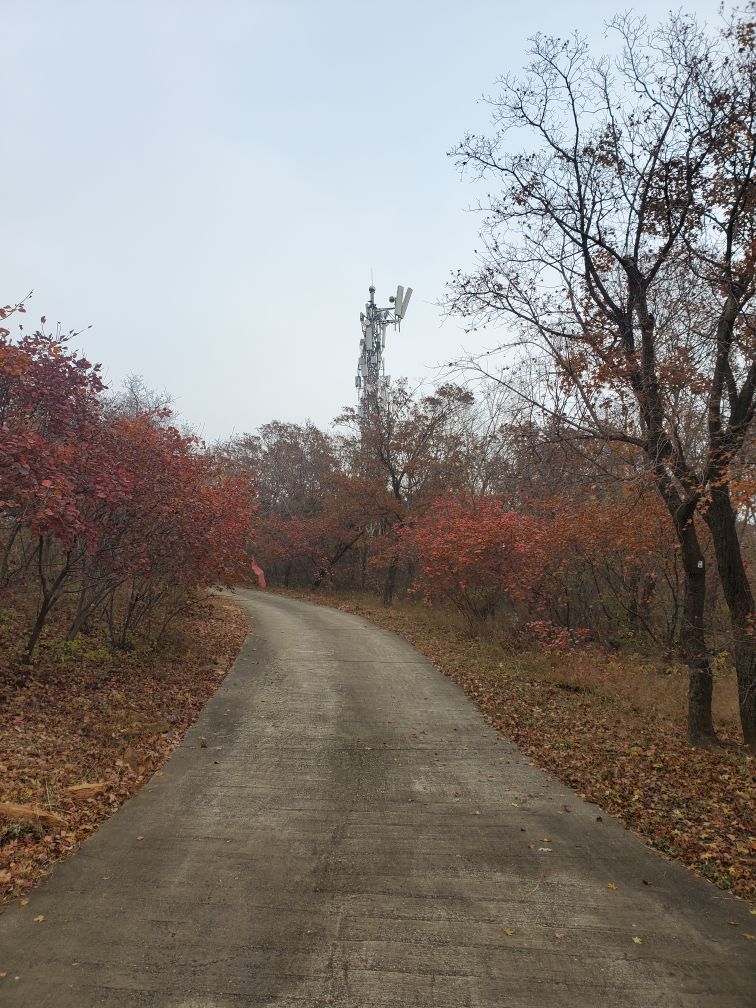 卢师山