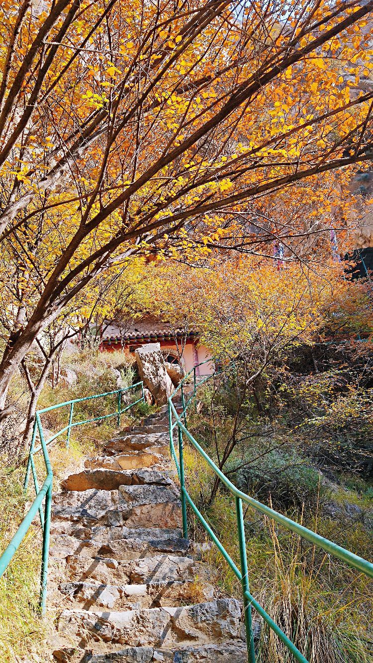 中卫寺孑口景区东景区