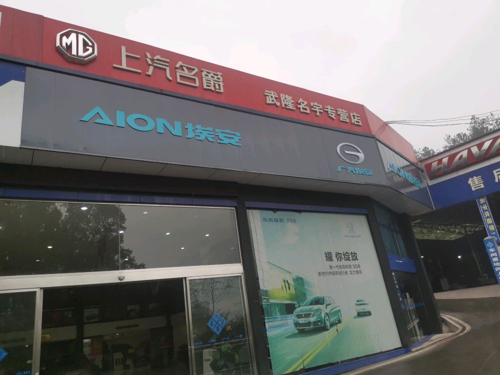 广汽埃安武隆专卖店