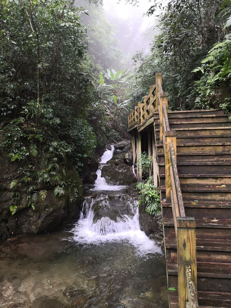 五指山水满河热带雨林风景区-游客中心