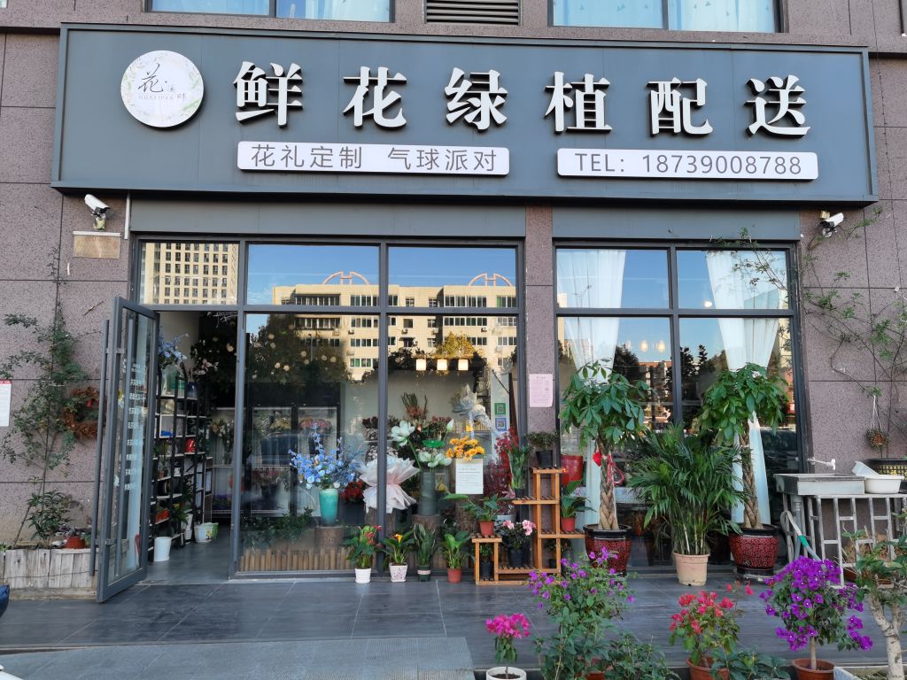 花溪畔鲜花绿植配送(财富公馆店)