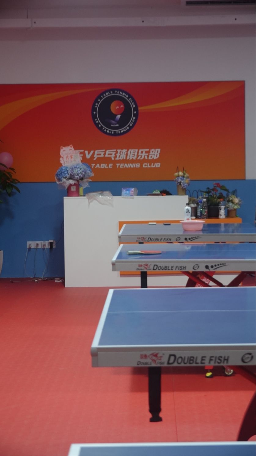 乐V乒乓球俱乐部(科技园万豪店)
