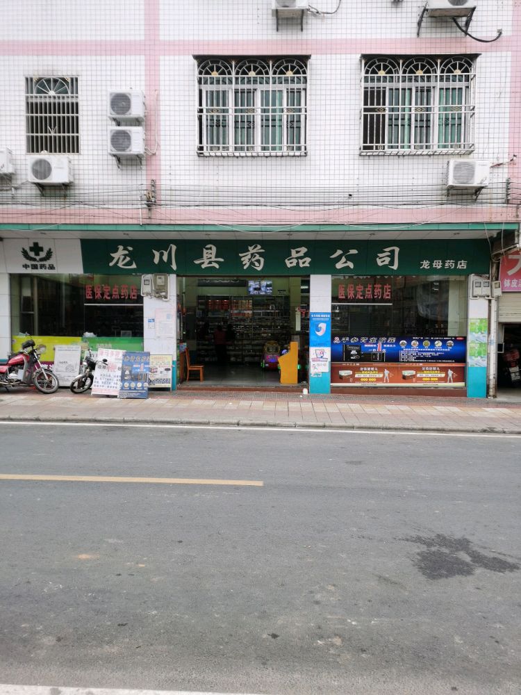 龙川县药品公司(龙母药店)