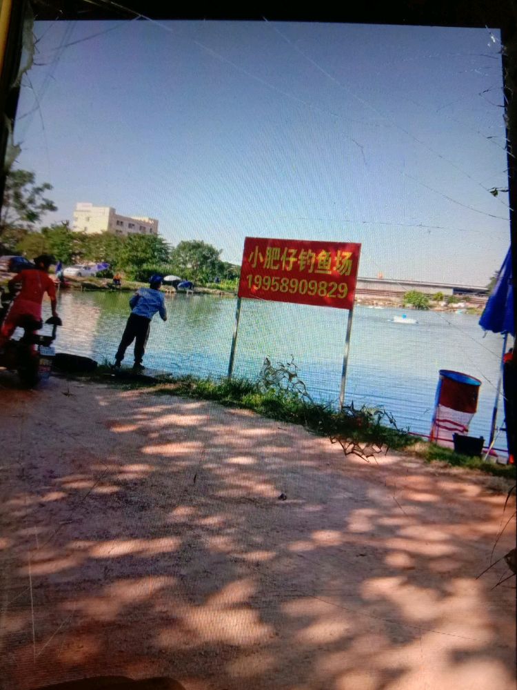小肥仔钓鱼场